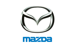 东升国际官网-不凡成就非凡,相信品牌力量