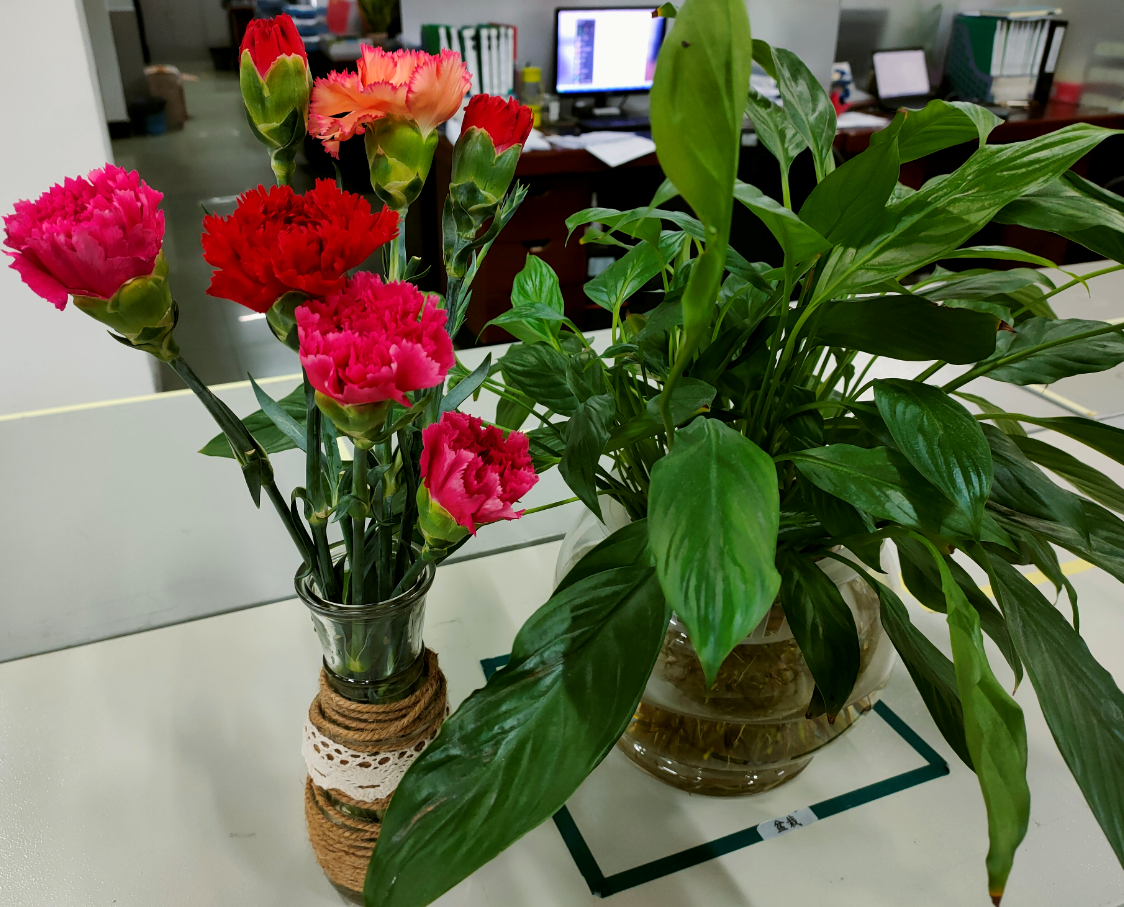 东升国际官网-不凡成就非凡,相信品牌力量