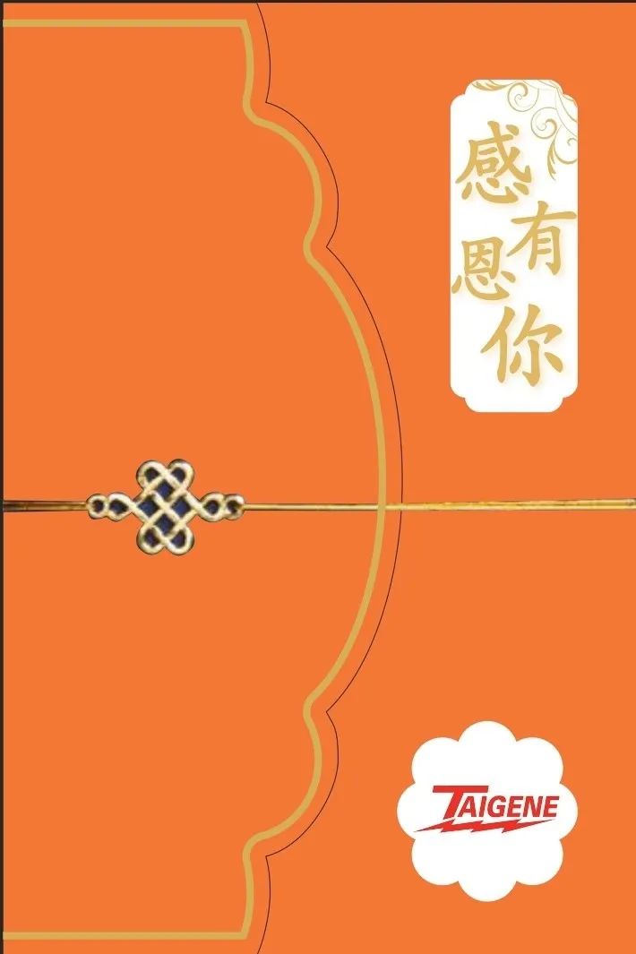 东升国际官网-不凡成就非凡,相信品牌力量